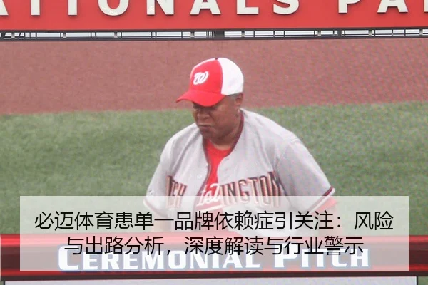 必迈体育患单一品牌依赖症引关注：风险与出路分析，深度解读与行业警示