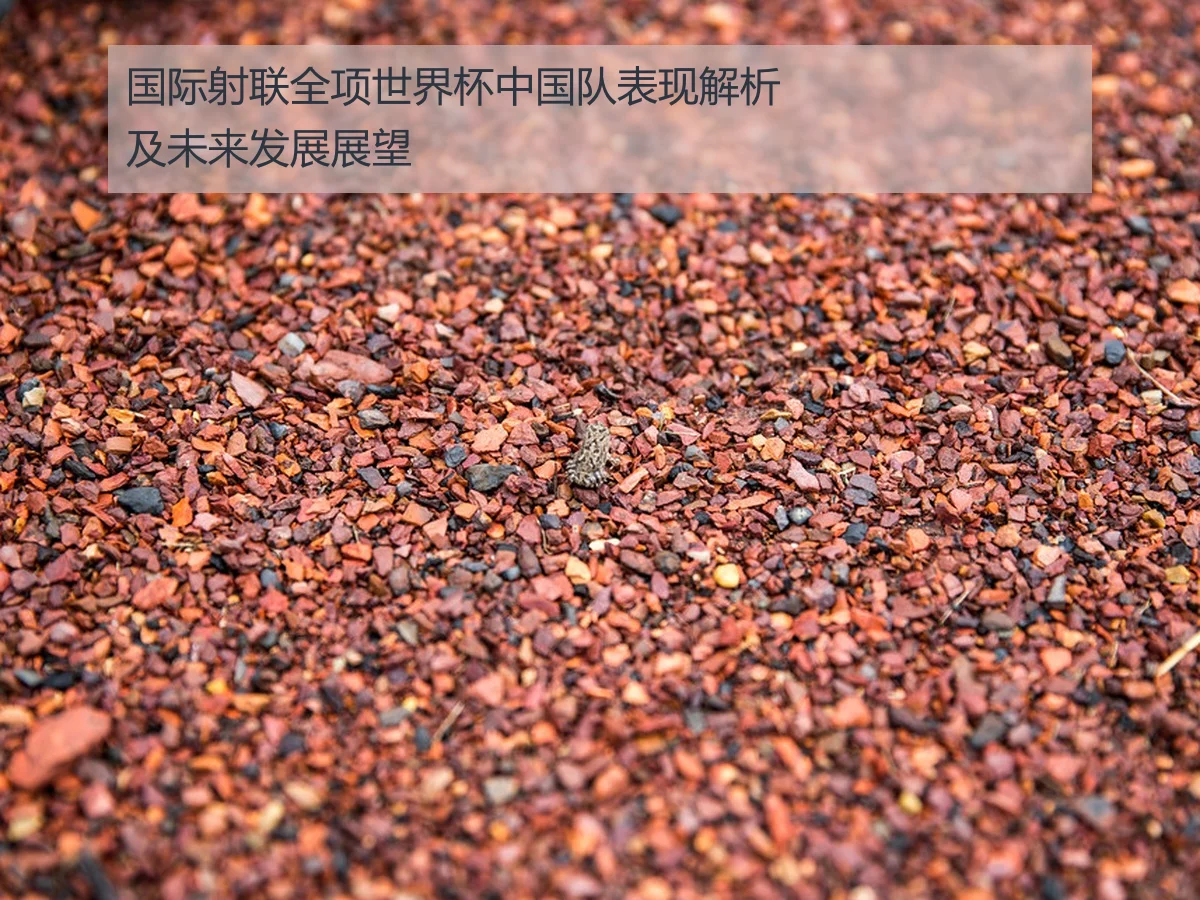 国际射联全项世界杯中国队表现解析及未来发展展望